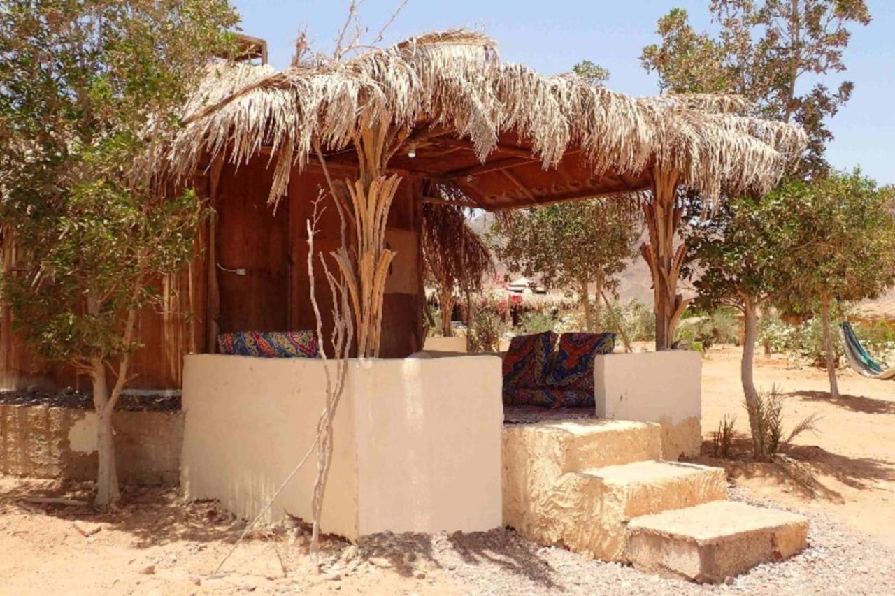 Отель Bedouin Star Таба Экстерьер фото