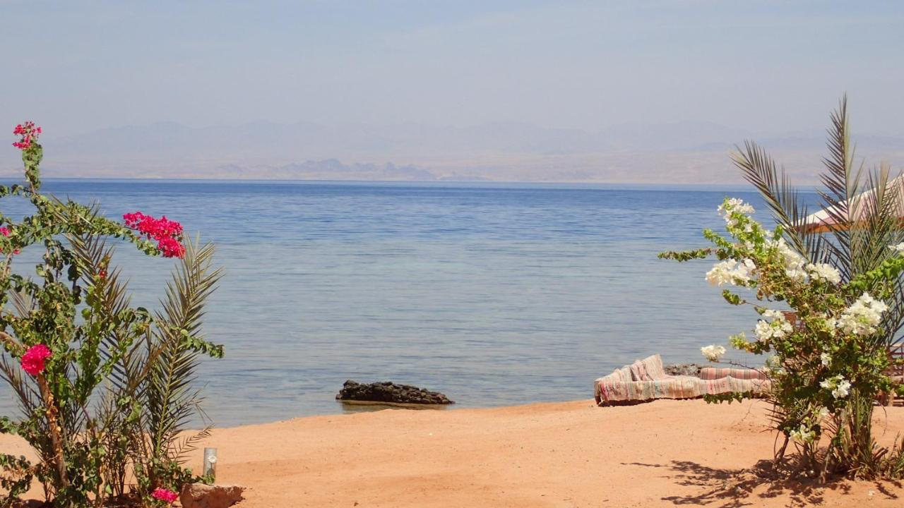 Отель Bedouin Star Таба Экстерьер фото