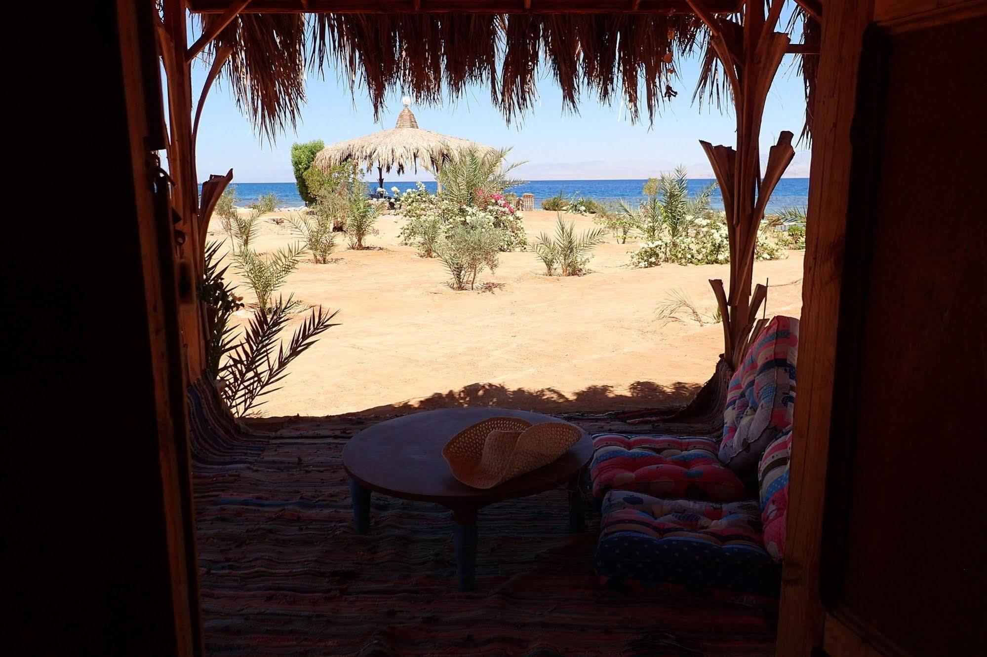 Отель Bedouin Star Таба Экстерьер фото