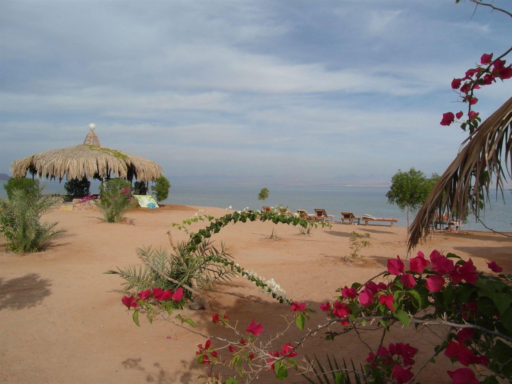 Отель Bedouin Star Таба Экстерьер фото
