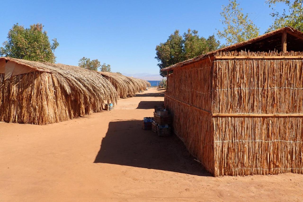 Отель Bedouin Star Таба Номер фото